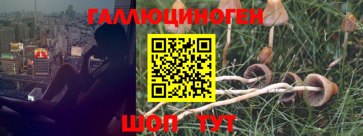 Галлюциногенные грибы Magic Shrooms Курганинск