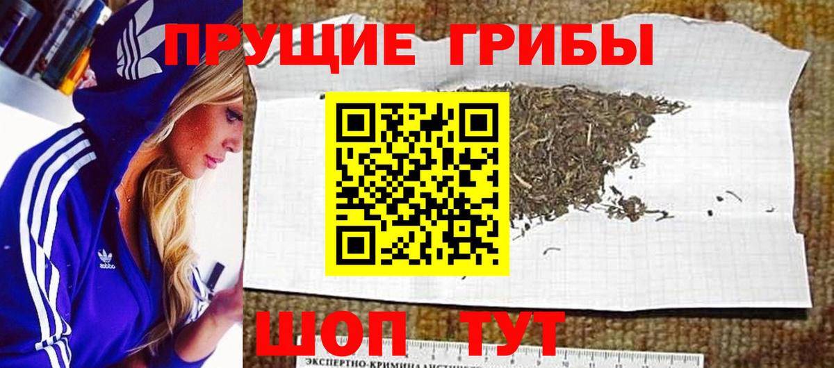 Курганинск  Псилоцибиновые грибы MAGIC MUSHROOMS  купить  цена  Вход с VPN  Галлюциногенные грибы прущие грибы 